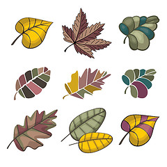 Image showing set of autumn leaves