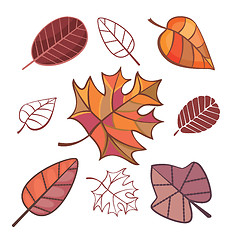 Image showing set of autumn leaves