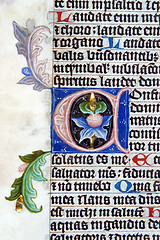 Image showing Illustration in an old bible book