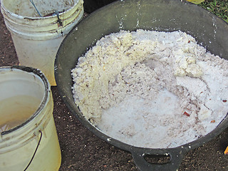 Image showing coconut pieces for coconut oil production Corn Island Nicaragua