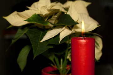 Image showing Christmas candle