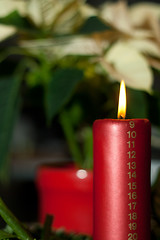 Image showing christmas candle