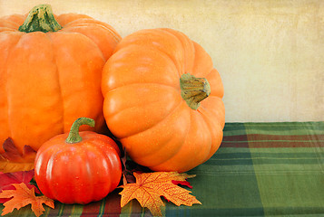 Image showing Pumpkins with Vintage Background