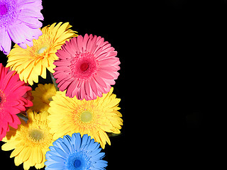 Image showing flowers as background
