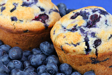 Image showing Extreme close up of fresh baked blueberry muffins and blueberrie