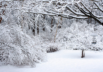 Image showing Snow Scene