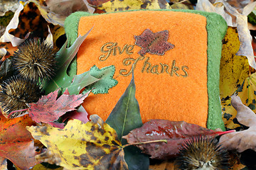 Image showing Give Thanks pillow in fall leaves