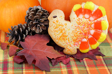 Image showing Turkey cookie with pumpkins, leaves and pine cones.
