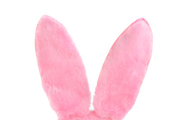 Image showing Pink Furry Bunny Ears on white with copy space