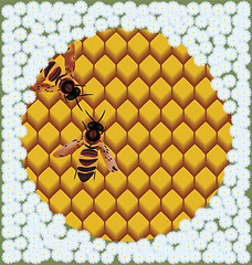 Image showing Bees on honeycombs.