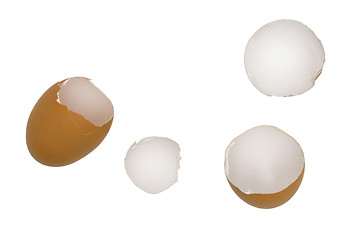 Image showing Shell of eggs.