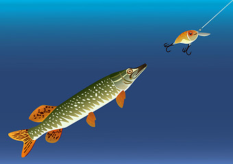 Image showing Fishing for bait. 