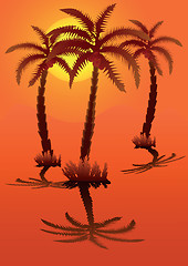 Image showing Palm tree against the orange sky with the sun.