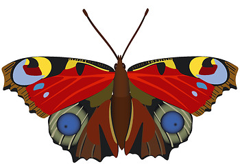 Image showing Abstract exotic butterfly.
