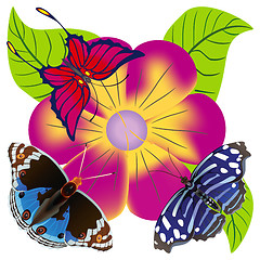 Image showing Abstract butterfly against a flower.