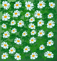 Image showing Abstract flower background.