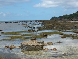 Image showing Seychelles