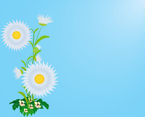 Image showing Abstract flower background.