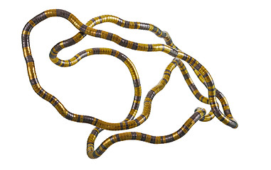 Image showing flexible metal chain 