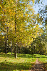 Image showing Autumn landscape