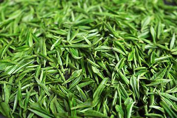 Image showing Fresh green tea