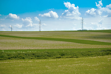 Image showing Summer landscape with field and meadow