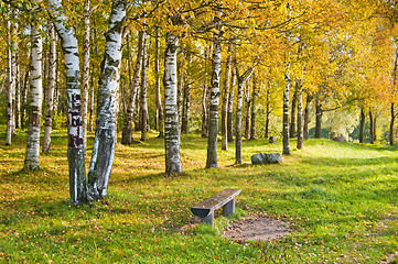 Image showing Autumn landscape