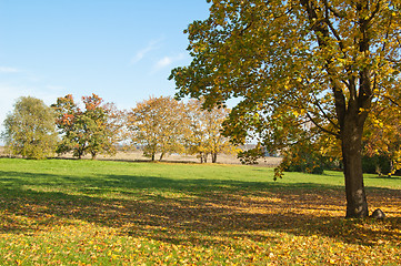 Image showing Autumn landscape