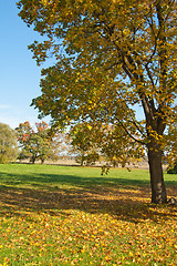 Image showing Autumn landscape