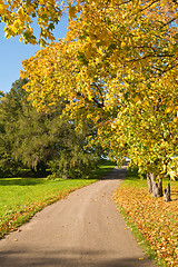 Image showing Autumn landscape