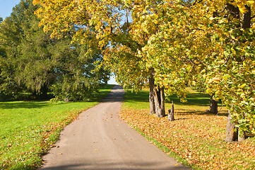 Image showing Autumn landscape