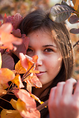 Image showing Leaves portrait