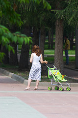 Image showing Walk in the park