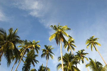 Image showing Beach Resort