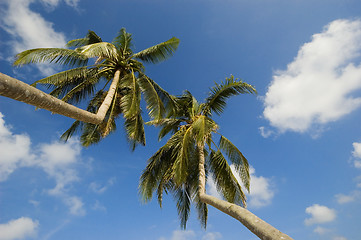 Image showing Beach Resort
