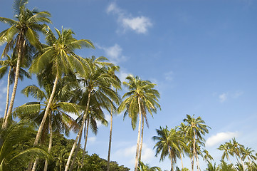 Image showing Beach Resort