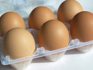 Image showing Eggs picture