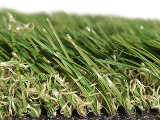 Image showing Artificial grass