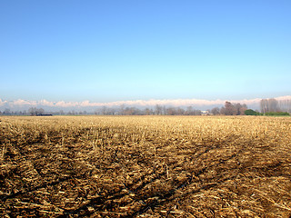 Image showing Field picture