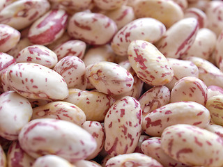 Image showing Beans salad