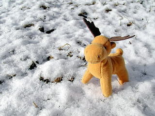 Image showing Deer in snow greeting card