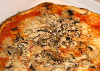 Image showing Mushroom Pizza