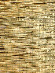 Image showing Bamboo background