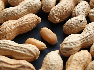 Image showing Peanut picture