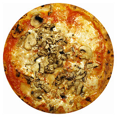 Image showing Mushroom Pizza