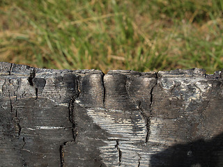 Image showing Burned wood