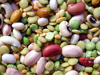 Image showing Beans salad