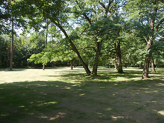 Image showing Park picture