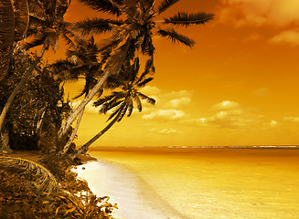 Image showing Island Lagoon Sunset