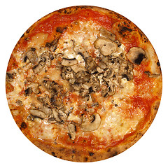 Image showing Mushroom Pizza